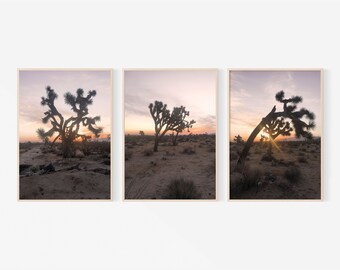 Joshua Tree Drucke Set: Wüstenfotografie im Südwesten der USA (Digitaler Download)