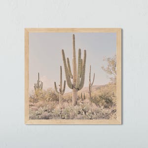 Lámina artística cuadrada de saguaro, póster de cactus de Arizona, fotografía botánica, arte mural del suroeste, impresión de cactus para tu hogar