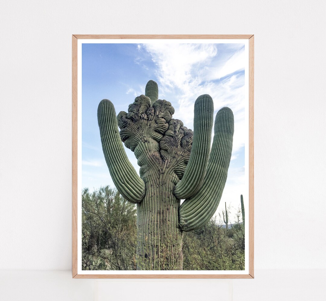 Cactus Print, Desert Wall Decor, Southwestern Saguaro Art (digital ...