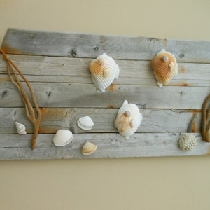 Driftwood Wall Art | Fishes Under the Sea Beach Decor | Natural Hamptons NY Shells & Driftwood | Rustic | Coastal | Beach House Art
