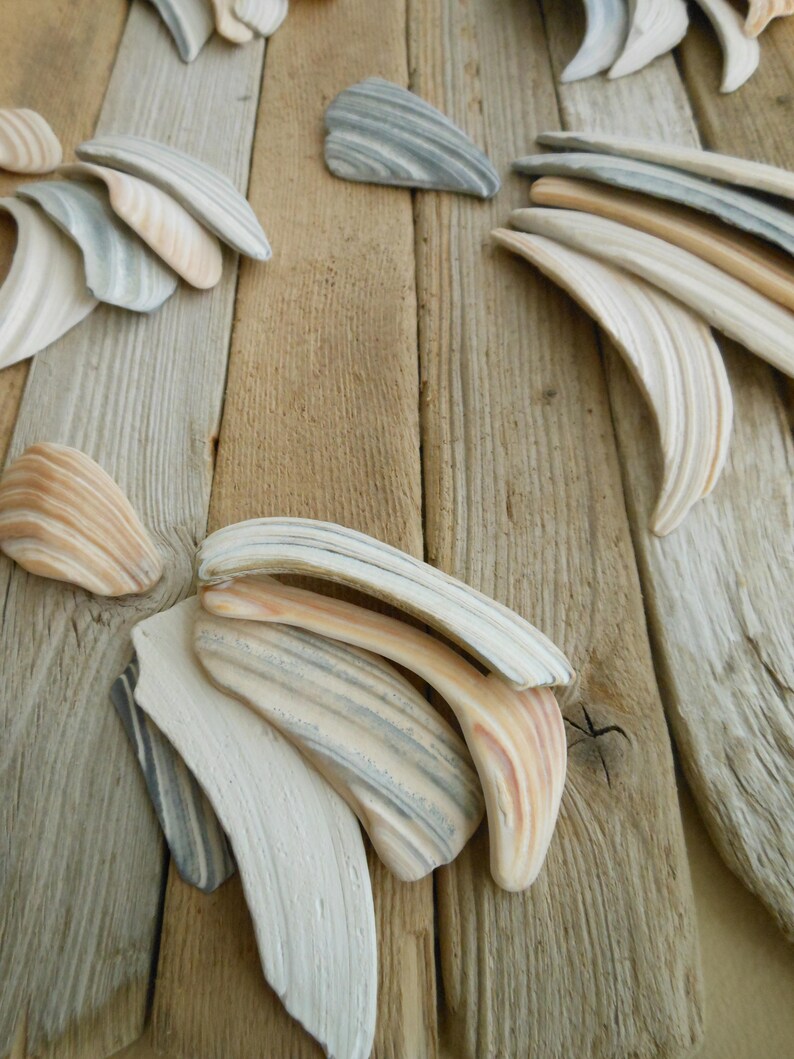 Seashell & Driftwood Wall Artwishing Upon a Shooting Star Etsy