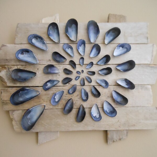Driftwood Wall Art-Blue Mussel Shell Meditation Spiral Abstract Design-Hamptons NY Driftwood SeaShell Art-Coastal Lake or Beach House Decor