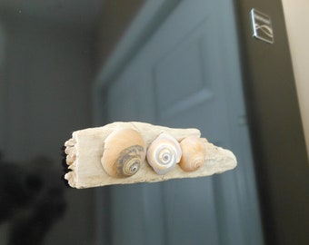 Driftwood and Seashell Refrigerator Magnet from Long Island NY Beaches | Rustic Coastal Beach Creation | Souvenir Shell Fridge Magnet