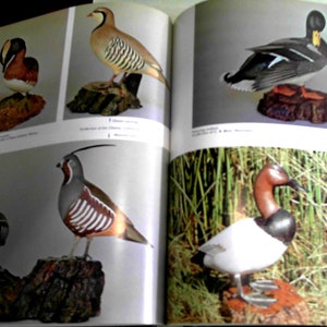 Puede incluir: Un libro abierto con im&aacute;genes de p&aacute;jaros tallados. El libro se titula "Game Carving". Los p&aacute;jaros incluyen un pato silvestre, una codorniz y un fais&aacute;n de cuello anillado.