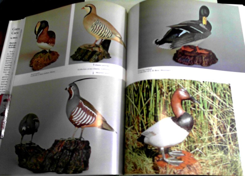 Puede incluir: Un libro abierto con im&aacute;genes de p&aacute;jaros tallados. El libro se titula "Game Carving". Los p&aacute;jaros incluyen un pato silvestre, una codorniz y un fais&aacute;n de cuello anillado.