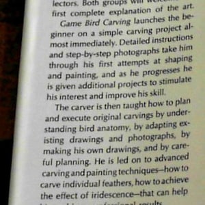 Puede incluir: Una portada de libro para "Game Bird Carving" de Bruce Burk. La portada presenta una foto en blanco y negro de un p&aacute;jaro con las alas extendidas. El libro est&aacute; ilustrado con m&aacute;s de 800 fotograf&iacute;as y dibujos de l&iacute;nea, incluyendo 8 fotograf&iacute;as a todo color.