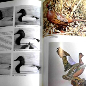 Puede incluir: Un libro con ilustraciones de patos de madera tallados y un fais&aacute;n. El libro muestra los pasos involucrados en el tallado de un se&ntilde;uelo de pato. El texto del libro dice "Forma de pato tallado terminado".