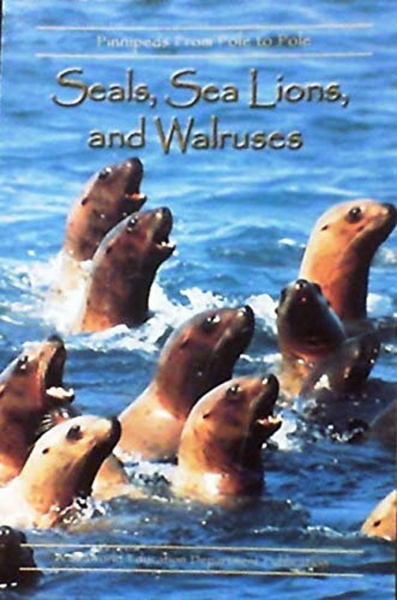Seals, Sea Lions, and Walruses Pinnipeds From Pole to Pole, Paperback