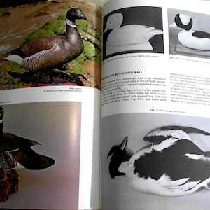 Puede incluir: Un libro sobre la talla de se&ntilde;uelos, que presenta un se&ntilde;uelo de pato negro con un pecho blanco y un se&ntilde;uelo de pato cabeza de b&uacute;falo con un patr&oacute;n blanco y negro. El texto de la p&aacute;gina describe el proceso de talla de un se&ntilde;uelo de pato cabeza de b&uacute;falo.