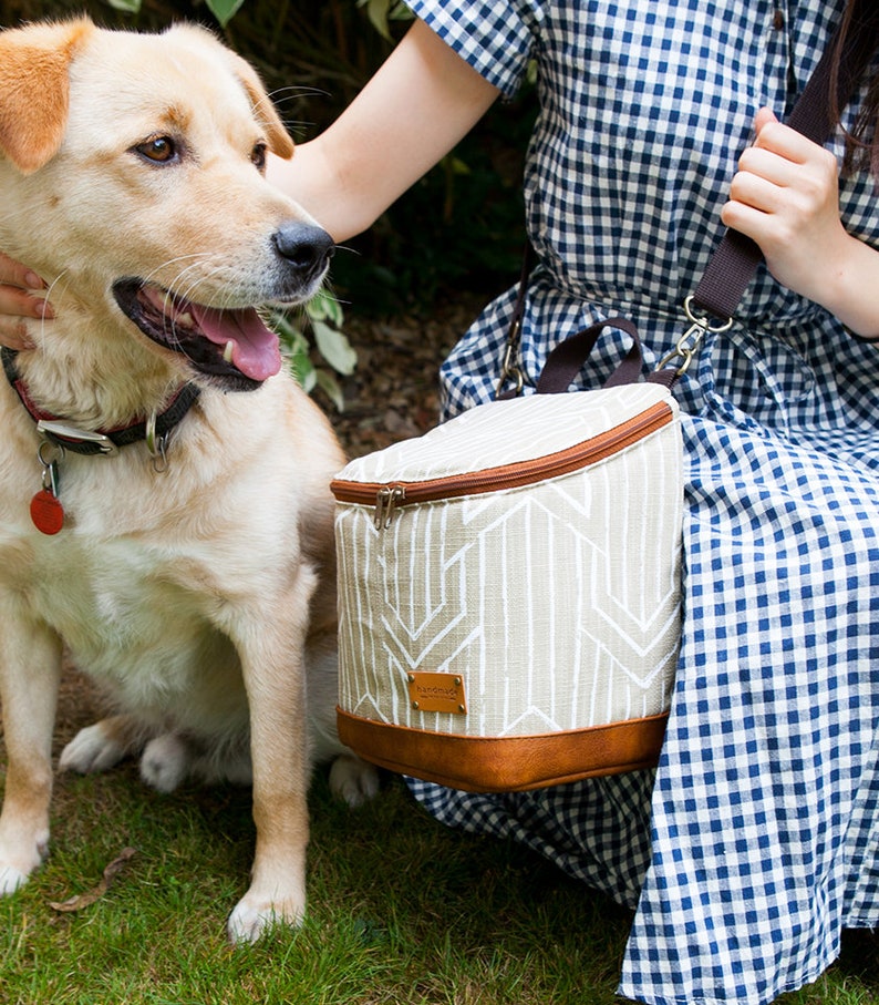 May include: A beige and brown insulated lunch bag with a geometric pattern and a brown leather trim. The bag is being carried by a person wearing a blue and white gingham dress. A dog is sitting next to the person.