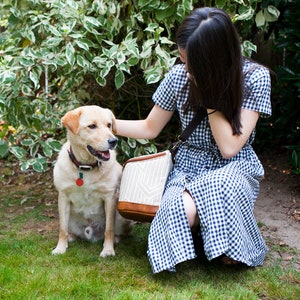 May include: A woman in a blue and white gingham dress sits on the grass with a dog. She is holding a brown and white patterned bag. The dog is a light brown labrador retriever.