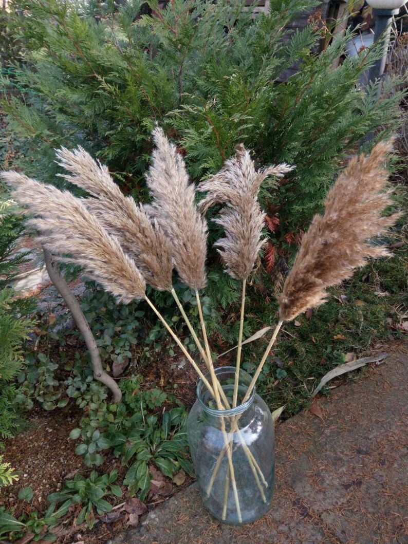 Tall Wedding centerpiece Dried pampas grass Etsy
