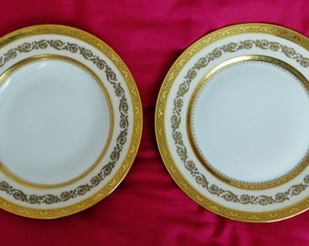 2 Raynaud Limoges Altesse Porcelain Plates