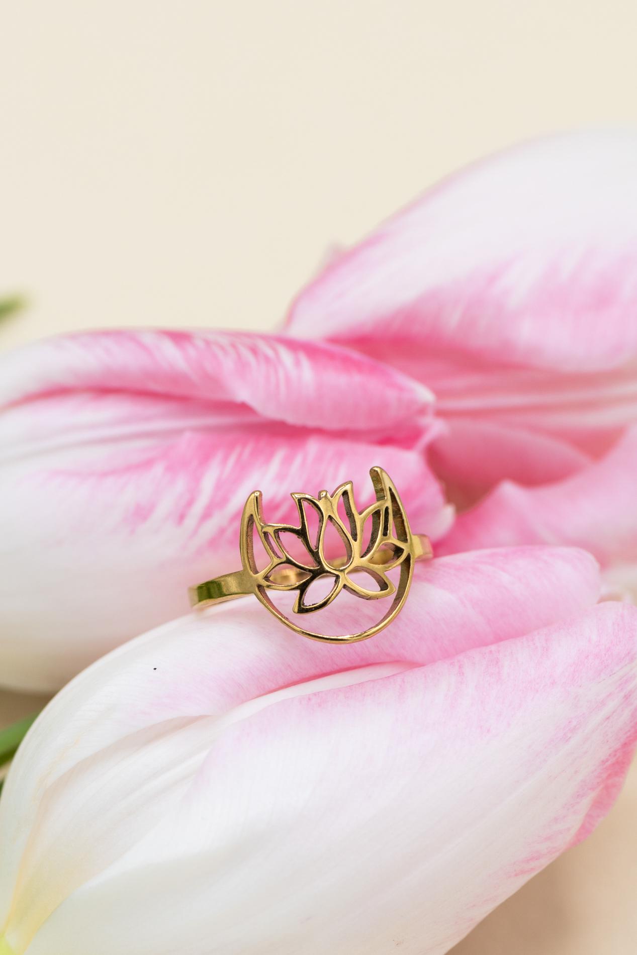 Anello in bronzo con pesce grande e pietra naturale di onice | Federica