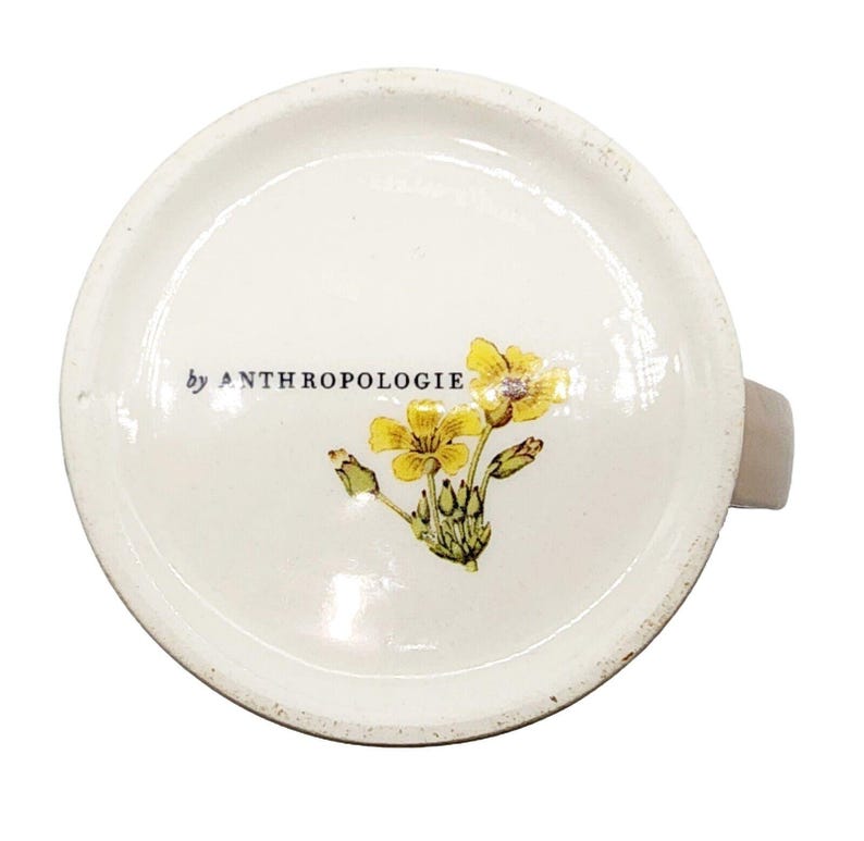 Anthropologie Orchid Mugs w/Coral Hummingbird Stoneware Handcrafted Pair EUC afbeelding 7