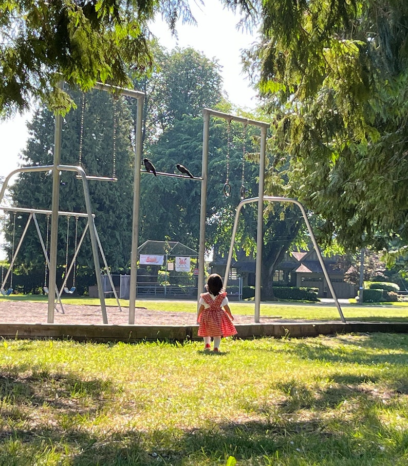 May include: A young child in a red and white gingham dress stands on a grassy field, looking towards a set of swings and a jungle gym. Two black birds are perched on a metal bar in the background.