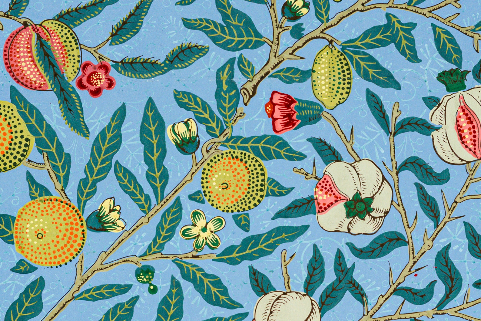 Four Fruits Pattern William Morris iPhone Wallpaper | Etsy