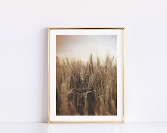 Wheat Field Art Print: Rustic Farmhouse Landscape Photography