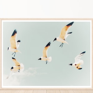 Seagull Wall Art, Gulf Shores Alabama, Bird Photography, Pastel Blue,  Gulf of Mexico, Beach House Decor