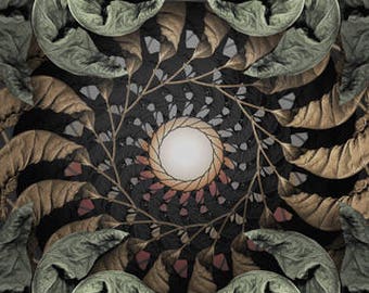 Fine Art Print - Mandala from nature - Momento Ad Vigere 5