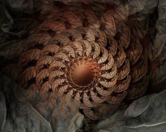 Fine Art Print - Mandala from nature - Revocation Partus 2