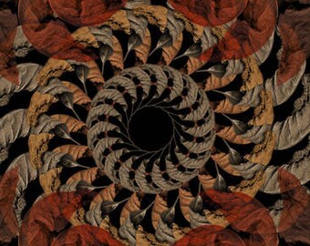 Fine Art Print - Mandala from nature - Momento Ad vigere 4