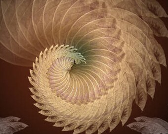 Fine Art Print - Mandala from nature -Momento Ad Vigere 1