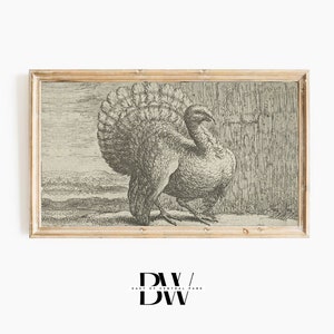 May include: A framed black and white vintage illustration of a turkey with its tail feathers fanned out. The turkey is standing on a grassy surface with a background of a fence and a cloudy sky.