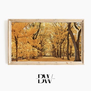 May include: Framed photograph of a pathway lined with trees in Central Park, New York City. The trees are in full autumn foliage, with leaves in shades of yellow and orange. The path is lined with a black fence. The image is framed in a light wood frame.