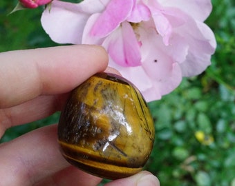 Tigers Eye Palm Stone For Anxiety, Rare Healing Crystal, Worry Stone, Tigers Eye Tumble, Stone of Courage, Metaphysical Tools & Gifts