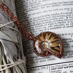 Small Fossil Ammonite Necklace, Electroformed Copper Pendant, Under The Sea, Unique Mermaid Jewelry, One of a Kind Oddities