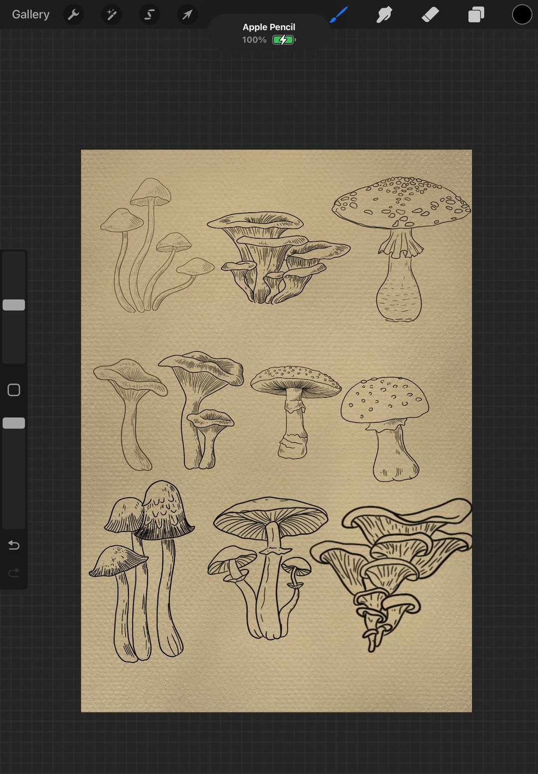 Mushroom Procreate Stamps - 25 Mushrooms - Etsy