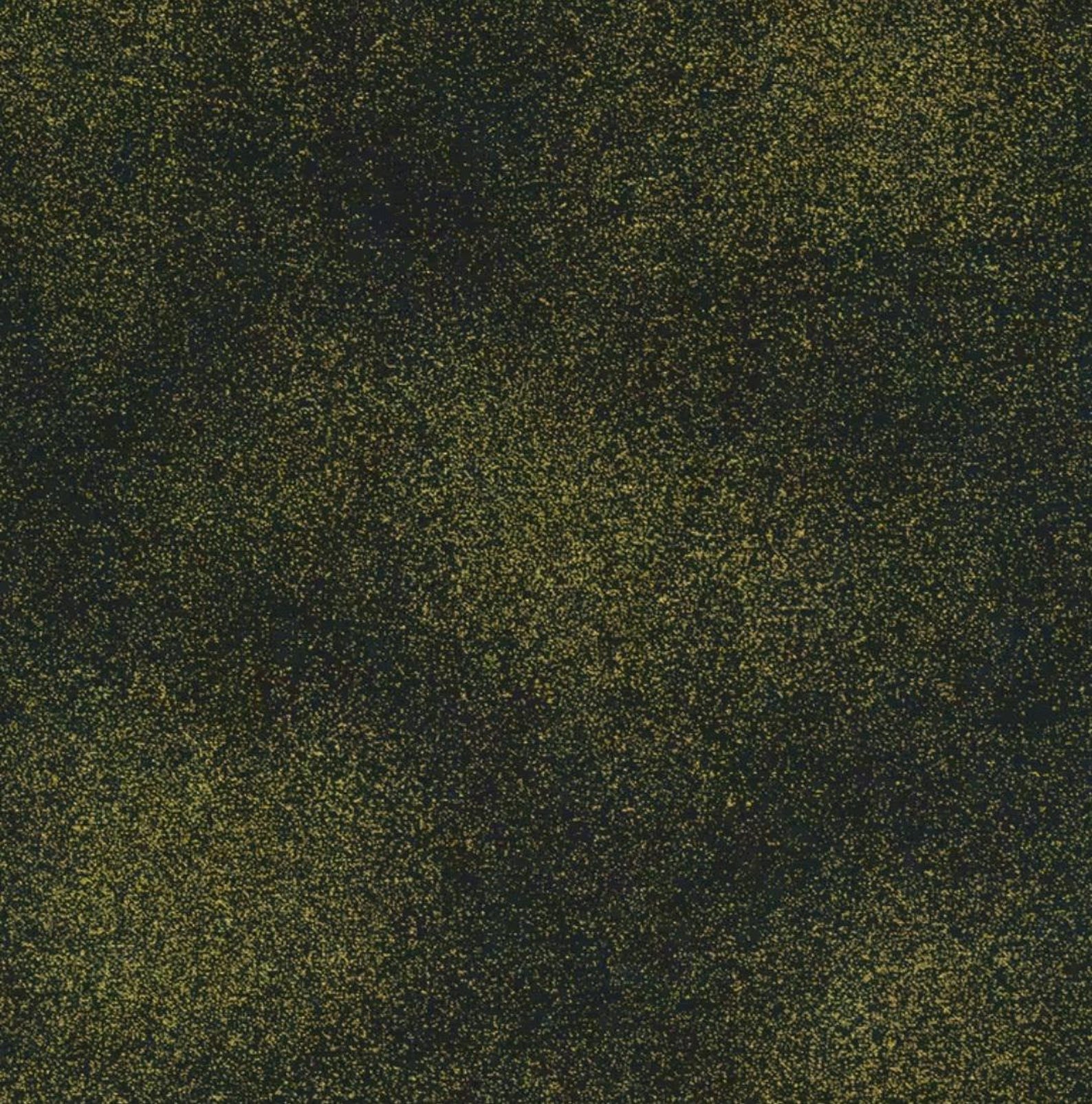 Timeless Treasures Black With Metallic Gold Shimmer Cotton Quilt Fabric ...