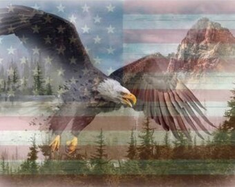 Hoffman American Wild Bald Eagle Cotton Fabric Quilt Panel 29" x 43"