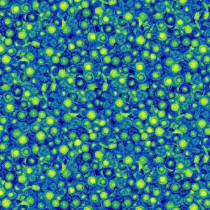 Timeless Treasures Poppy Dreams Blue and Yellow/Green Mini Abtract Swirl Cotton Quilt Fabric