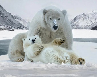 Hoffman Call of the Wild Snowy Polar Bears Cotton Quilt Fabric Panel 31" x 44"