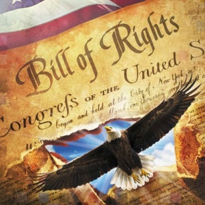 David Textiles United States Bill of Rights Bald Eagle American Flag Cotton Quilt Panel 35&quot; x 43&quot;