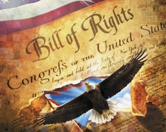 David Textiles United States Bill of Rights Bald Eagle American Flag Cotton Quilt Panel 35" x 43"