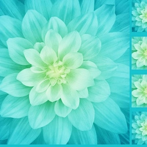 Shannon Hoffman Green and Turquoise Tidepool Dahlia Flower Soft Cuddle Fabric Quilt Panel 46 x 58