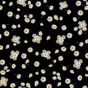 Advice from a Sunflower by Timeless Treasures Small Tossed White Daisies on Black Cotton Quilt Fabric