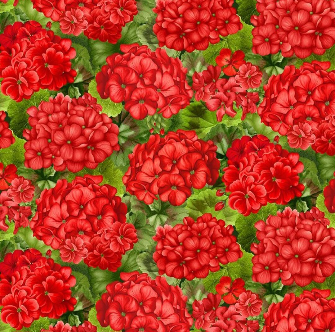 Scarlet Beauty by Timeless Treasures Medium Red Geranium Flowers Cotton ...
