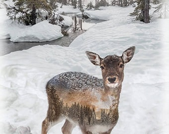 Hoffman Call of the Wild Snowy Woods Deer Fawn Cotton Quilt Fabric Panel 29" x 43" #V5211H-345