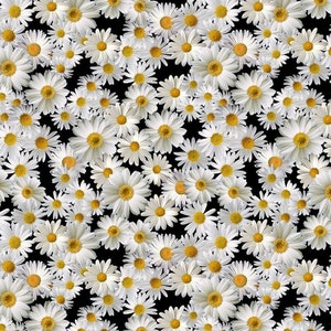 Advice from a Sunflower by Timeless Treasures Small Packed White Daisies on Black Cotton Quilt Fabric