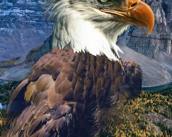 Hoffman Call of the Wild Americana Bald Eagle Cotton Fabric Quilt Panel 30 1/2" x 43"