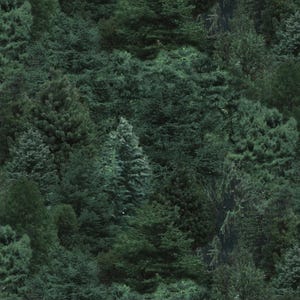 May include: A dense forest scene featuring a variety of evergreen trees in shades of green. The image showcases a mix of tree types, creating a textured, natural pattern. The overall effect is a lush, verdant landscape.