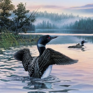 Elizabeth Studio Loons on Lake Cotton Fabric Quilt Panel 36 x 44