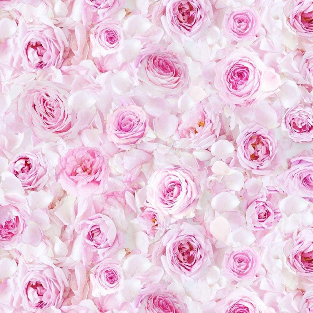 Bellerose by Timeless Treasures Pink Roses and Rose Petals Cotton Quilt ...