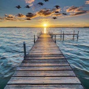 Panneau de couette en coton Call of the Wild Sunset at the Ocean Dock Hoffman 31 x 43 po