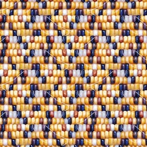 Elizabeth Studio Tucson Multicolor Yellow, White, and Black Navajo Dried Corn Cotton Quilt Fabric