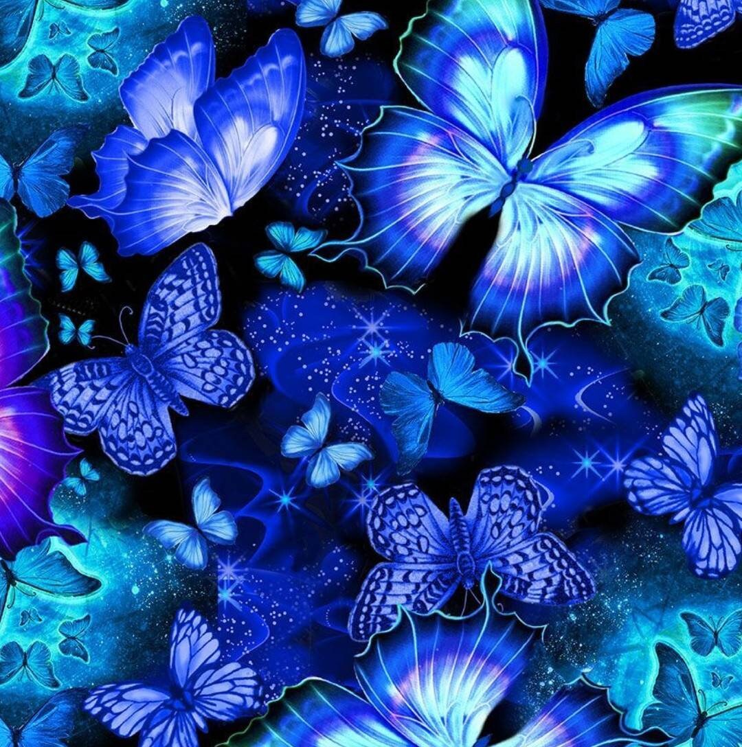 Timeless Treasures Blue and Purple Cosmic Midnight Sky Butterfly Cotton ...